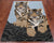 Blue 4' 0" X 6' 0" Tiger Design Hand-Tufted Wool Rug - M28