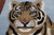 Blue 4' 0" X 6' 0" Tiger Design Hand-Tufted Wool Rug - M28