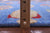 Gabbeh Fish Design Handmade Wool Rug - Manhattan Rugs