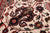 Beige 3' 11" X 6' 0" Persian Fine Tabriz Handmade Wool Rug - Q23938