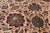 Khaki 10' 3" X 14' 2" Persian Fine Tabriz Handmade Wool Rug - Q23942