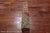 6' 9" X 9' 9" Reversible Kilim Flat Weave Wool On Wool Rug - Q23977