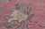Pink 9' 3" X 12' 3" Turkish Angora Oushak Hand Knotted Wool Rug - Q24005