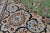 Green Persian Nain Hand Knotted Wool & Silk 7' 11" X 10' 0" Rug - Q24017