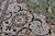 Green 10' Square Wool & Silk Persian Nain Handmade Rug - Q24037