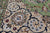 Green 9' Square Persian Nain Hand-Knotted Wool & Silk Rug - Q24077