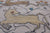 Ivory 10' 1" X 13' 9" Persian Tree Of Life Handmade Wool Rug - Q24156