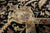 Black 11' 9" X 18' 1" Persian Tabriz Handmade Wool Rug - Q24180