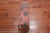 Rust 5' 7" X 8' 4" Silky Bokhara Hand Knotted Wool Rug - Q24660