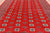 Red 8' 2" X 10' 6" Silky Bokhara Hand-Knotted Wool Rug - Q24737