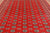 Red 8' 1" X 9' 9" Silky Bokhara Handmade Wool Rug - Q24739