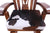 Wooden Rocking Chair Handcarved Back Sunflower Removable Hair-On Cowhide Pillow - RC147-CP